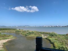 -漩门湾国家湿地公园