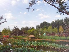 -静之湖度假区