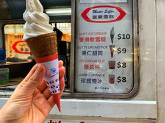 -富豪雪糕车流动点(尖沙咀店)