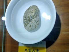-仪征博物馆