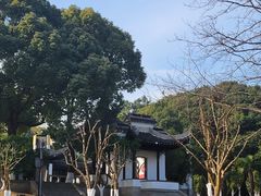 -灵岩山风景区