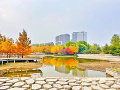 -大望京公园
