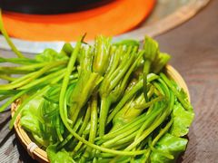 -芸鲜季·云南野生菌餐厅· 云南风物味研社(闵行店)