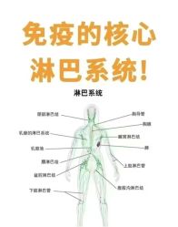 -名发世家烫染