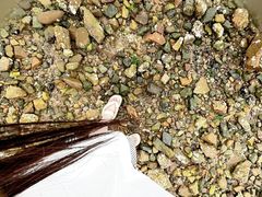 -青岛石老人海水浴场