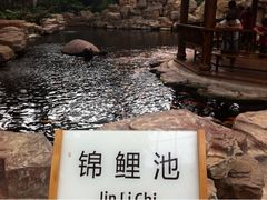 iphone_upload_pic-龙达温泉生态城