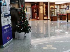 -知音艺术教育培训·钢琴培训·音乐培训(河西金鹰世界校区)