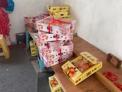 -南汇水蜜桃采摘(大团店)