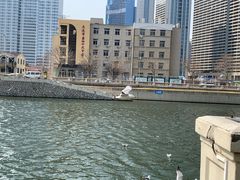 -马栏河运动公园