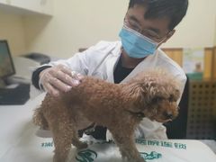 -瑞派宠物医院·24h·骨外科·皮肤科·全科宠物医疗转诊中心(沈阳浑南院)