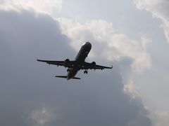 -空港花田景区