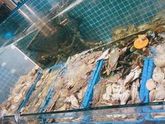 -曼格活海鲜·牛排自助(光明蓝鲸店)