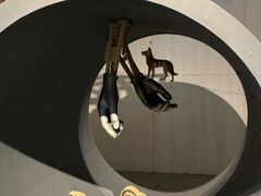 -上海当代艺术博物馆