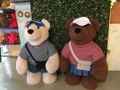 -济州岛泰迪熊博物馆