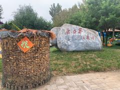 -北京鹿世界主题园