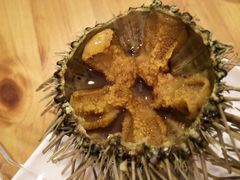 活海胆-海胆小馆(春柳店)