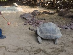 -广州长隆飞鸟乐园