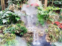 -深圳仙湖植物园