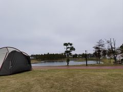 -春花秋色城市公园