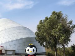 -哈尔滨大剧院