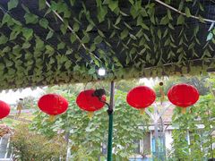 -姥家大锅台水库渔家