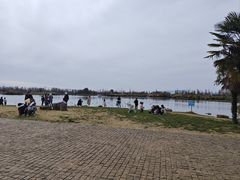 -呈贡滇池生态湿地公园