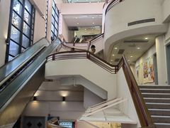 -香港大学