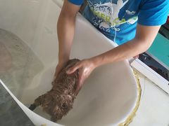 -康乐宝动物医院