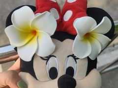 -西双版纳傣族园