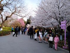 -青岛中山公园-索道售票处