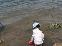 -丁香湖公园