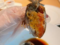 陈年花雕酒熟醉大闸蟹-新荣记(西溪湿地店)