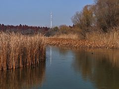 -溱湖国家湿地公园