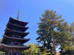 -奈良公园