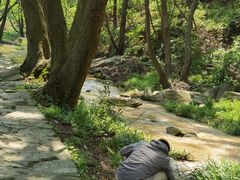 -木兰云雾山