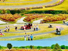 -花开海上生态园