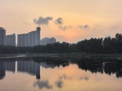 -莲花池公园