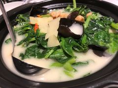 鱼汤煲豆苗-Yan Ting 宴庭中餐厅(上海静安瑞吉酒店)