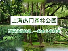 -上海共青森林公园