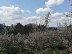 -樱桃山旅游景区