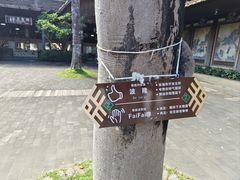 -海南槟榔谷黎苗文化旅游区