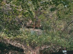 -南京金牛湖风景区