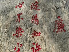 -白洋淀景区