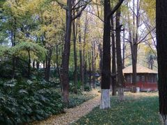 android_upload_pic-常州天宁禅寺