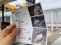 -大阪海游馆