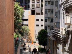 -香港大学