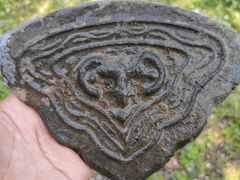 -蜀冈西峰生态公园