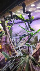 -酷嗒动物文化乐园(cutezoo西溪乐天城店)