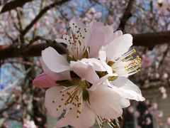 -奥体中心(地铁站)