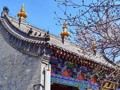 -护国法轮寺